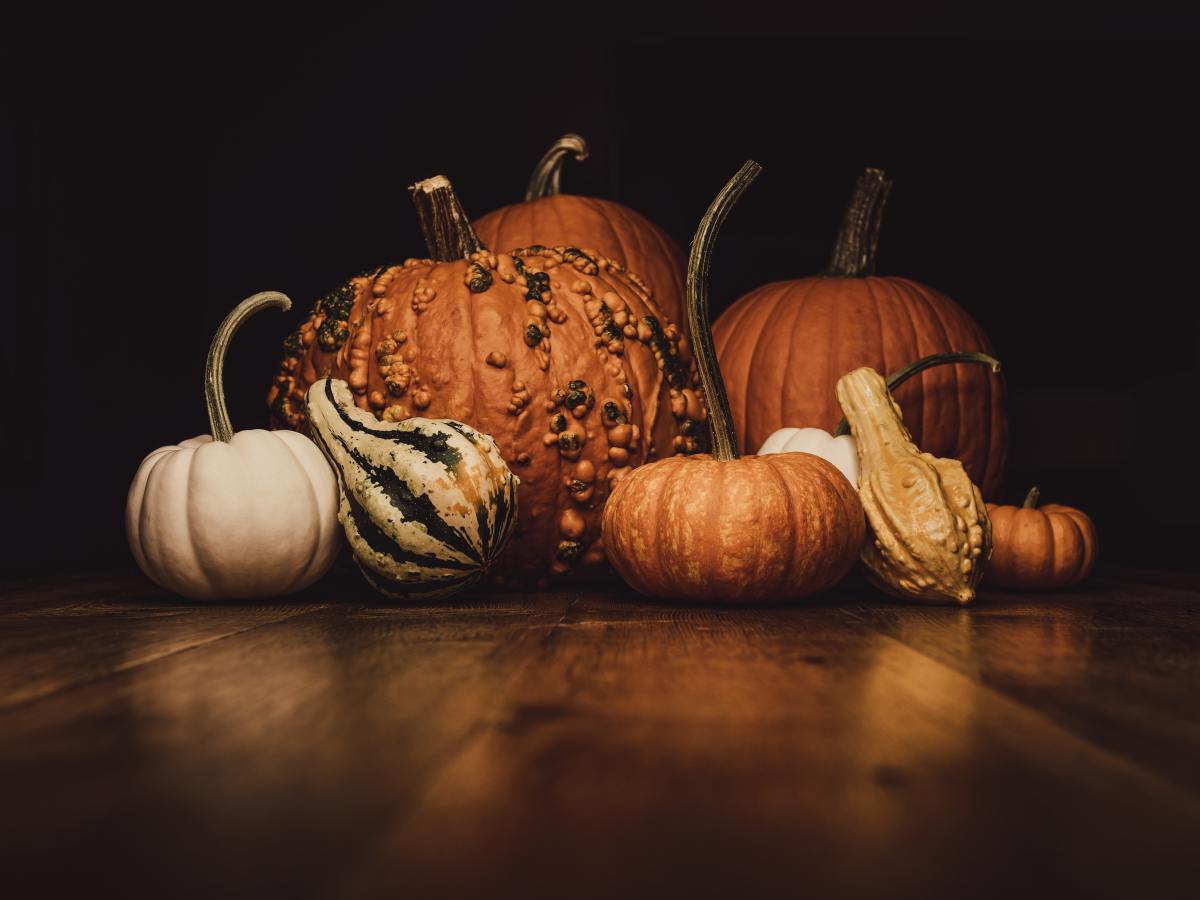 Keeping Safety on the Table: A Guide to navigating Thanksgiving During Covid-19